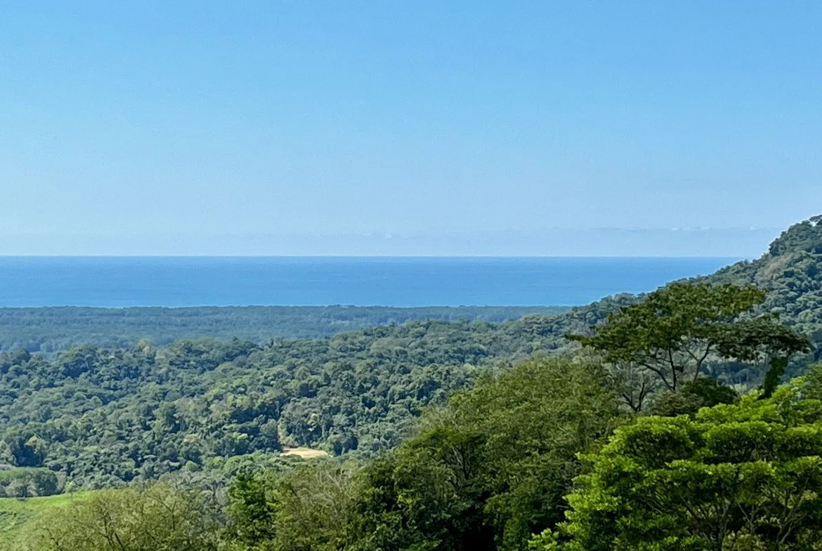 San Buenas Ocean View Estate Lot – 2.5 Acres, photo 12