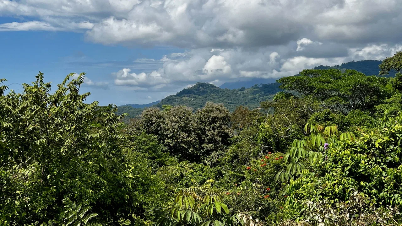 San Buenas Ocean View Estate Lot – 2.5 Acres, photo 15