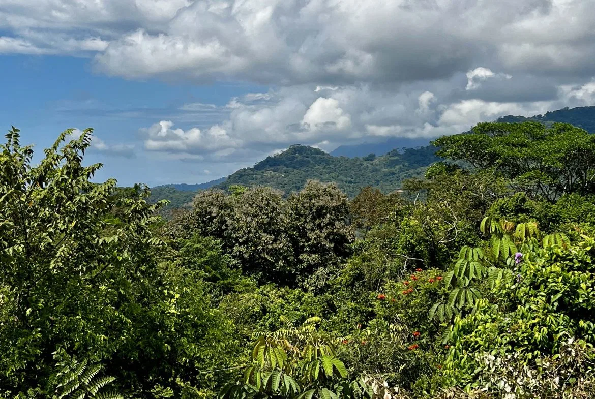 San Buenas Ocean View Estate Lot – 2.5 Acres, photo 16