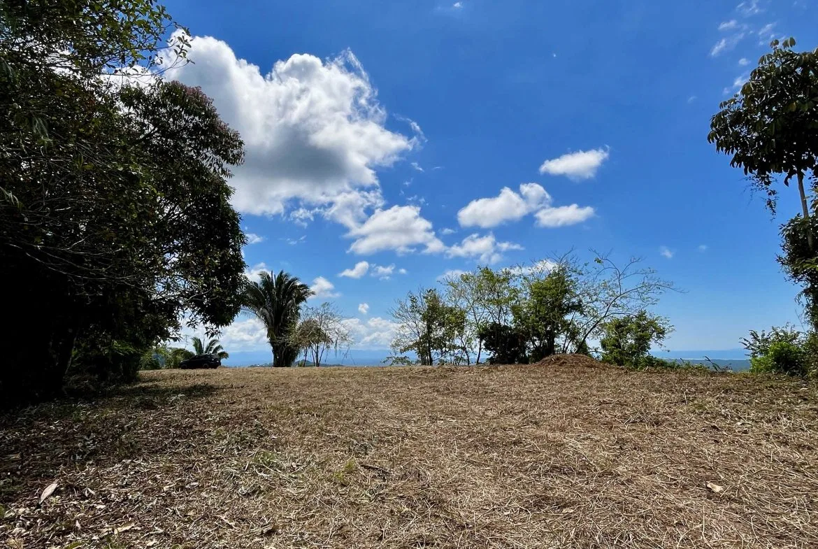 San Buenas Ocean View Estate Lot – 2.5 Acres, photo 20