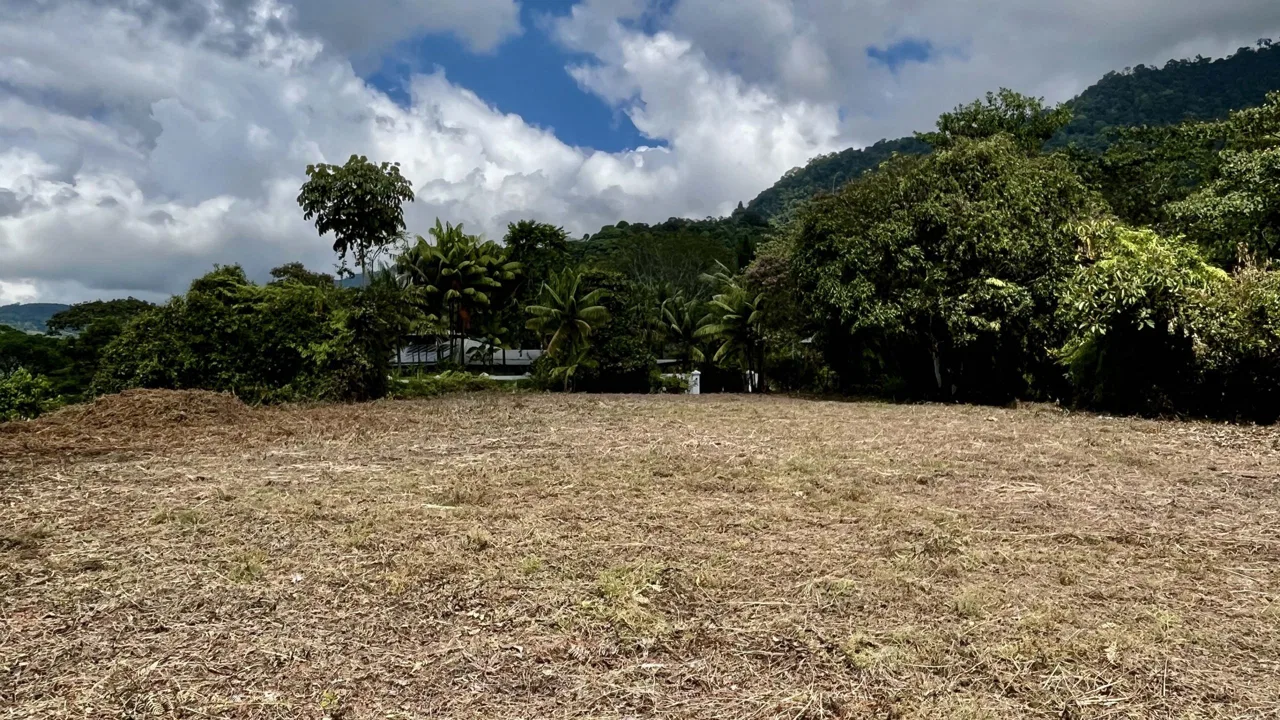 San Buenas Ocean View Estate Lot – 2.5 Acres, photo 21