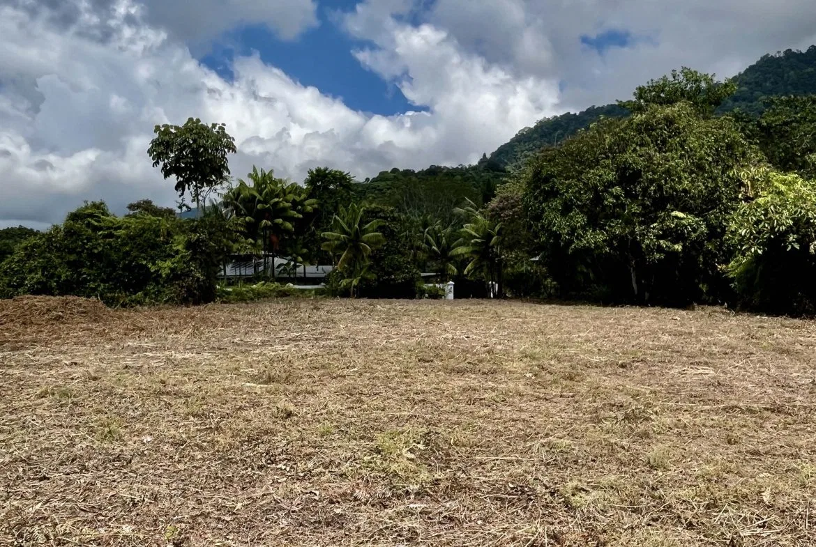 San Buenas Ocean View Estate Lot – 2.5 Acres, photo 22