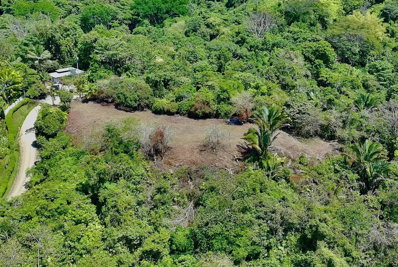 San Buenas Ocean View Estate Lot – 2.5 Acres, photo 5