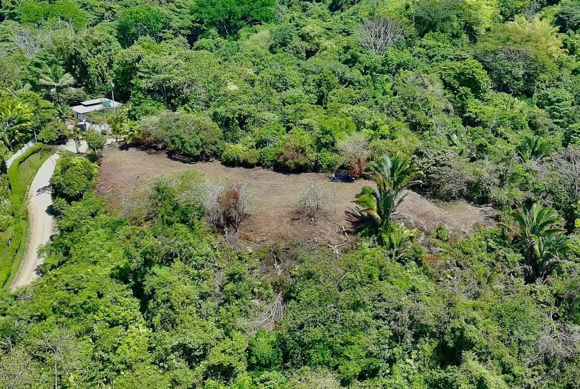San Buenas Ocean View Estate Lot – 2.5 Acres, photo 6