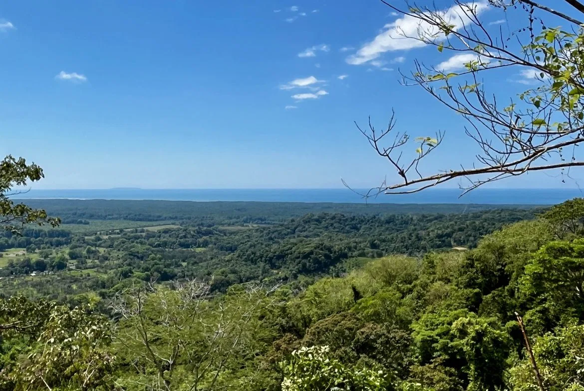 San Buenas Ocean View Estate Lot – 2.5 Acres, photo 10