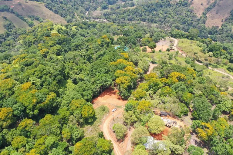 2.5 Acre Jungle and Valley View Home site in Dominical, photo 11