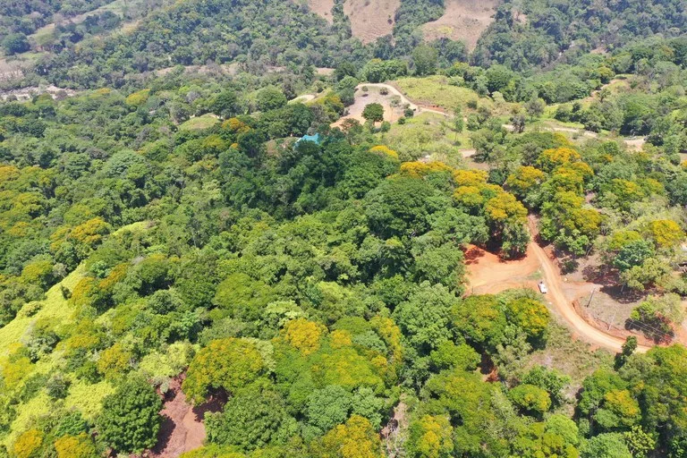 2.5 Acre Jungle and Valley View Home site in Dominical, photo 12