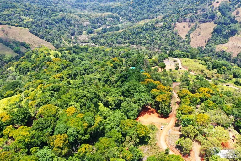 2.5 Acre Jungle and Valley View Home site in Dominical, photo 13