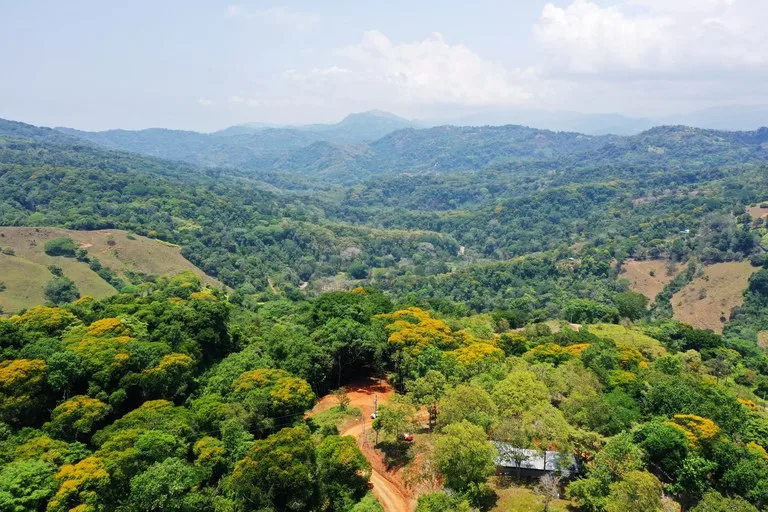 2.5 Acre Jungle and Valley View Home site in Dominical, photo 14