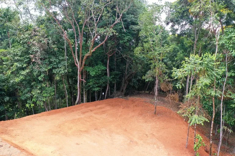 2.5 Acre Jungle and Valley View Home site in Dominical, photo 15