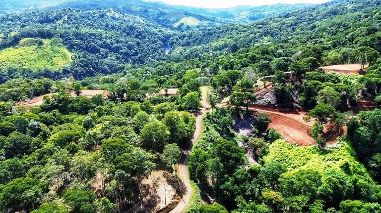 2.5 Acre Jungle and Valley View Home site in Dominical, photo 4