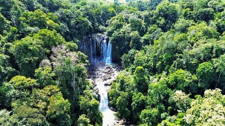 2.5 Acre Jungle and Valley View Home site in Dominical, photo 5