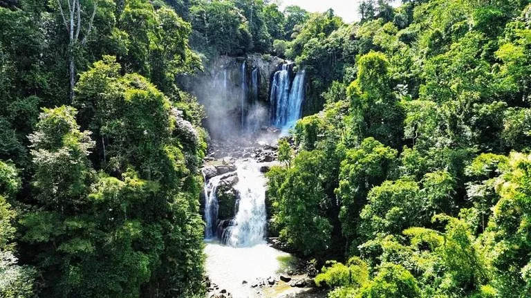2.5 Acre Jungle and Valley View Home site in Dominical, photo 6
