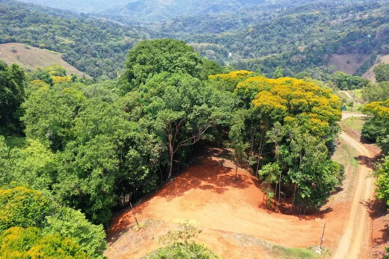 2.5 Acre Jungle and Valley View Home site in Dominical, photo 8