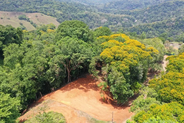 2.5 Acre Jungle and Valley View Home site in Dominical, photo 9
