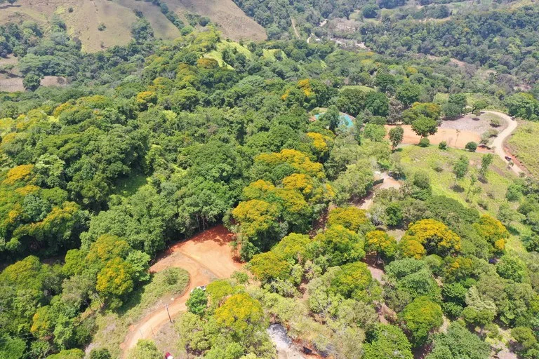 2.5 Acre Jungle and Valley View Home site in Dominical, photo 10