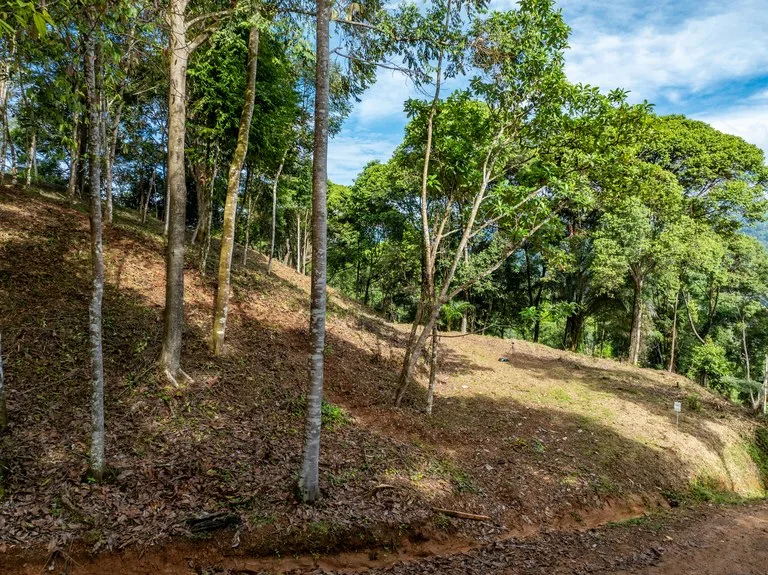 2.9 Acre Paradise with Diamante Valley Views Dominical, photo 2