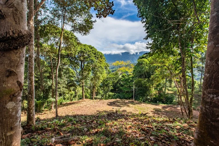 2.9 Acre Paradise with Diamante Valley Views Dominical, photo 11