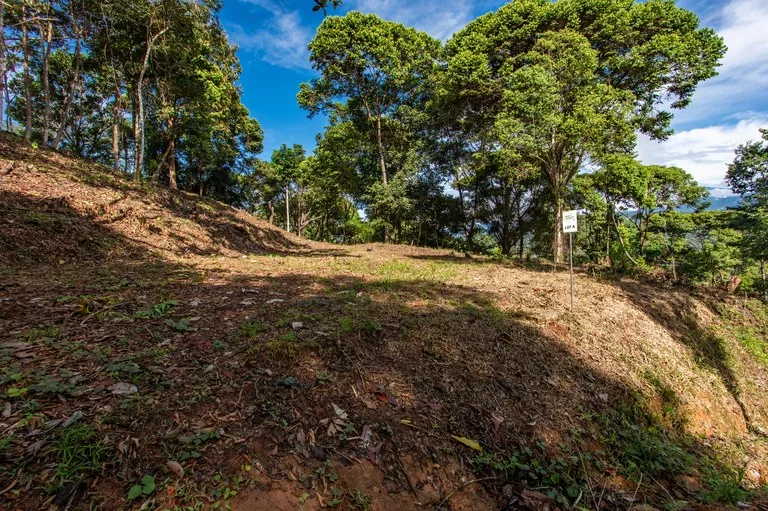 2.9 Acre Paradise with Diamante Valley Views Dominical, photo 13