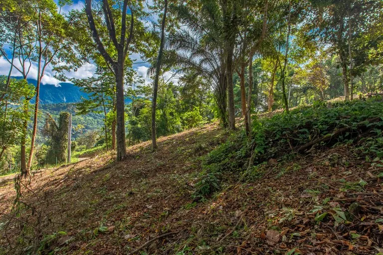 2.9 Acre Paradise with Diamante Valley Views Dominical, photo 14