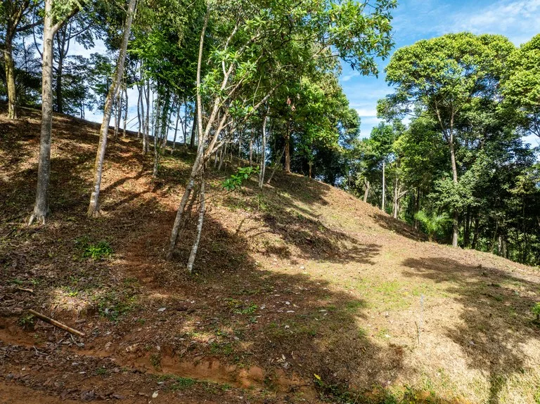 2.9 Acre Paradise with Diamante Valley Views Dominical, photo 3