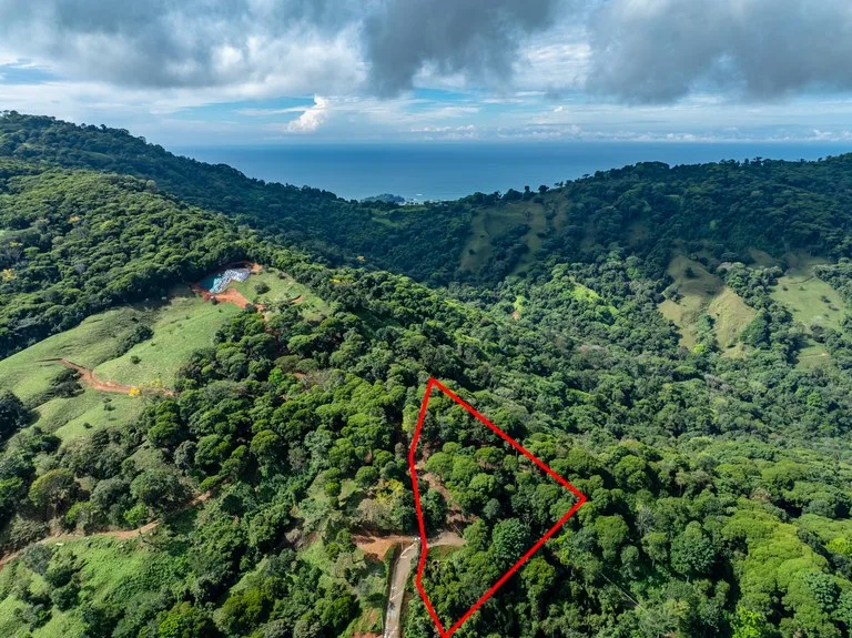 2.9 Acre Paradise with Diamante Valley Views Dominical, photo 5