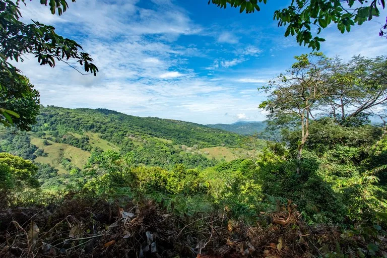 2.9 Acre Paradise with Diamante Valley Views Dominical, photo 6