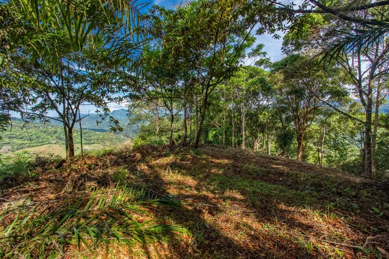 2.9 Acre Paradise with Diamante Valley Views Dominical, photo 7