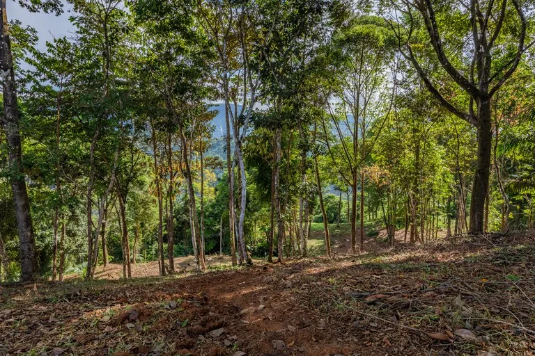 2.9 Acre Paradise with Diamante Valley Views Dominical, photo 10