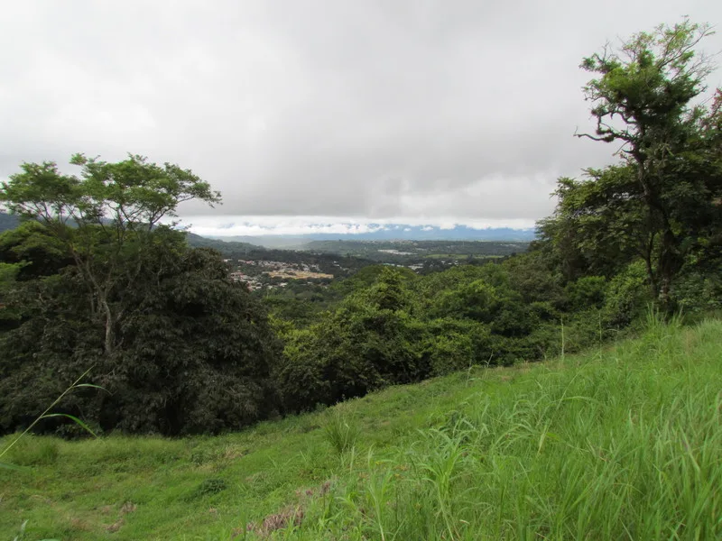 Land For Sale in Ciudad Colon, photo 2