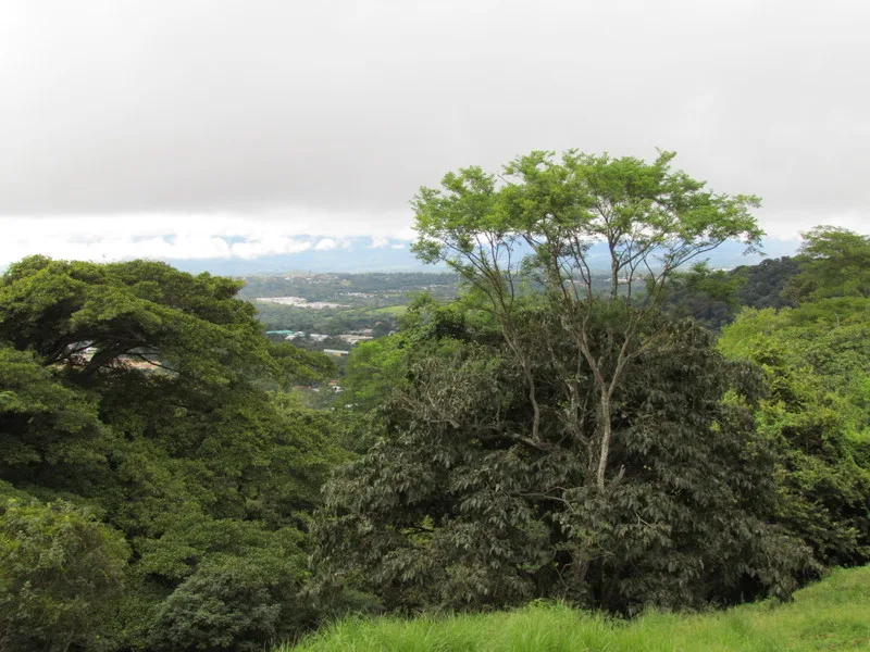Land For Sale in Ciudad Colon, photo 3