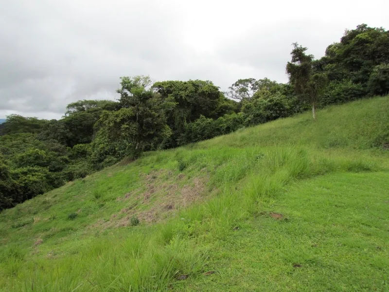 Land For Sale in Ciudad Colon, photo 7