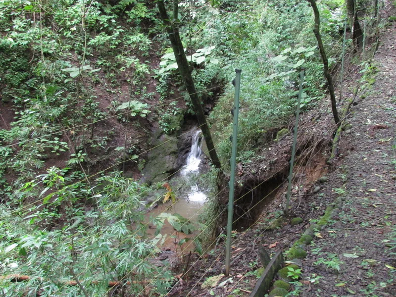 Land For Sale in Ciudad Colon, photo 8