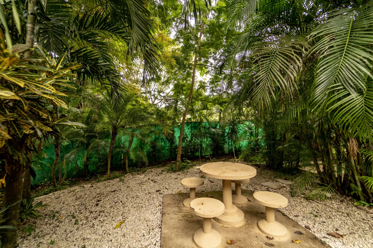 Casa Espavel - 2BR 2BA Home in Playa Carrillo, photo 6