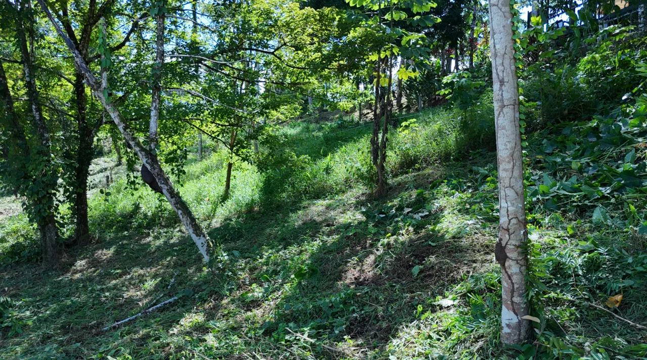 COMMERCIAL LAND IN UVITA – 0.2 ACRES, photo 15