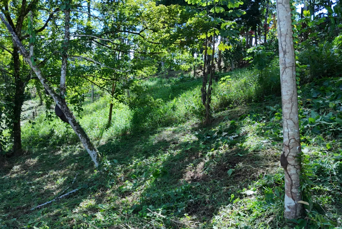 COMMERCIAL LAND IN UVITA – 0.2 ACRES, photo 16