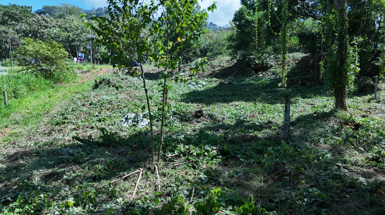 COMMERCIAL LAND IN UVITA – 0.2 ACRES, photo 17