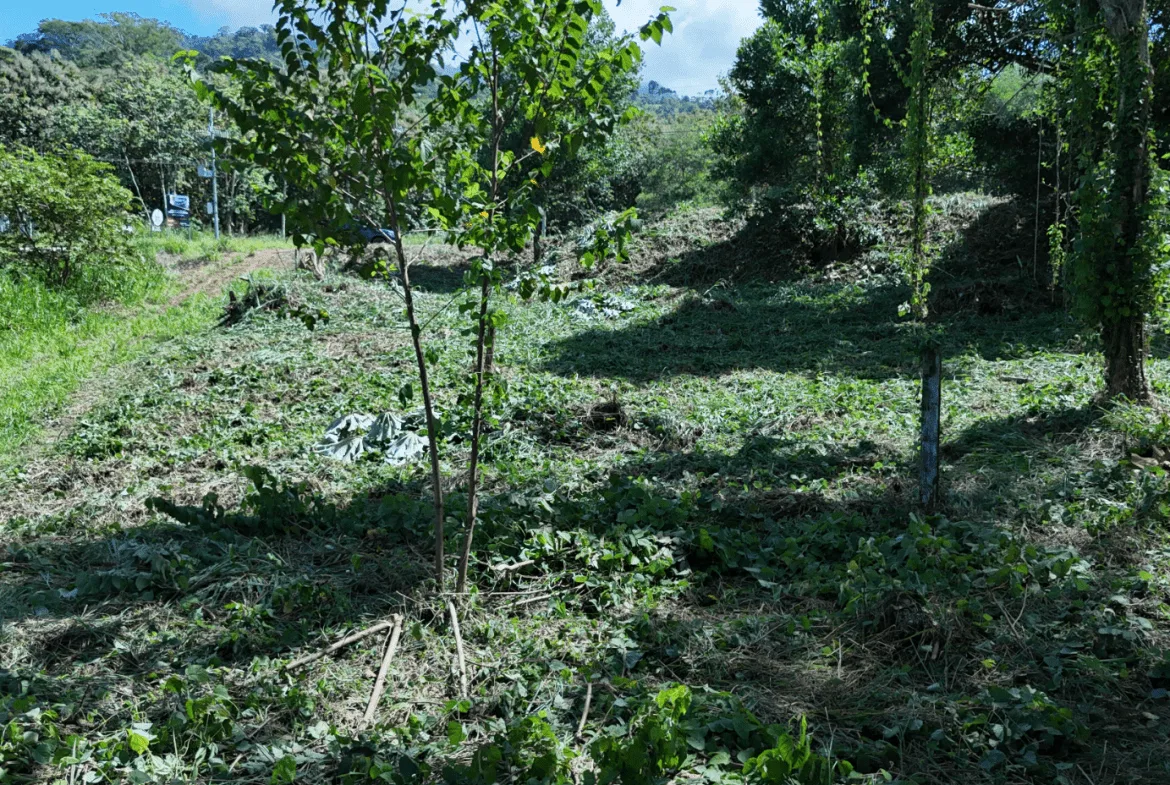 COMMERCIAL LAND IN UVITA – 0.2 ACRES, photo 18