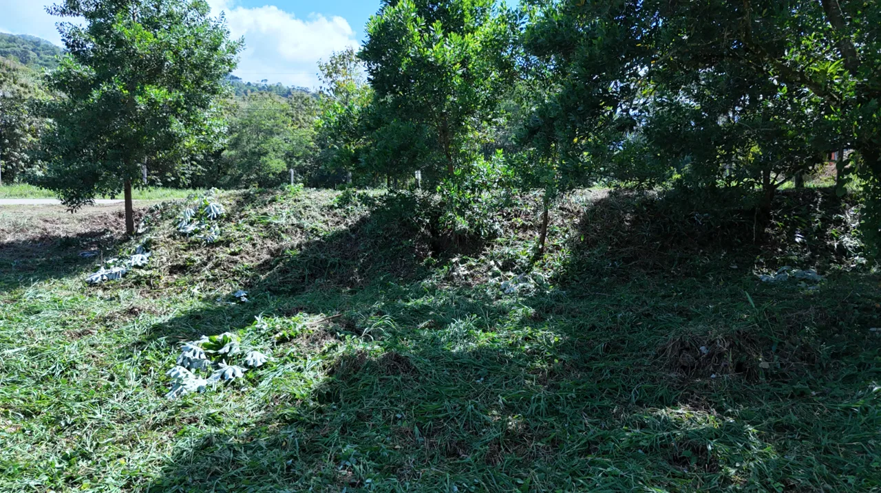 COMMERCIAL LAND IN UVITA – 0.2 ACRES, photo 19