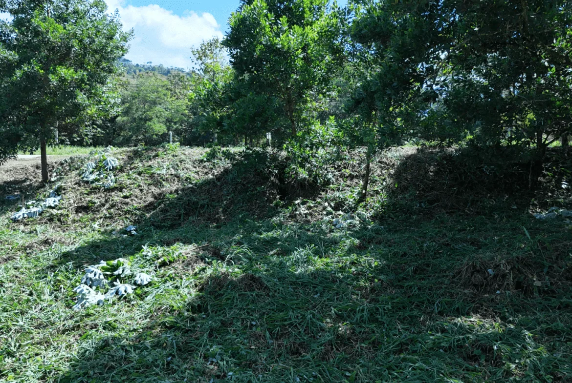 COMMERCIAL LAND IN UVITA – 0.2 ACRES, photo 20