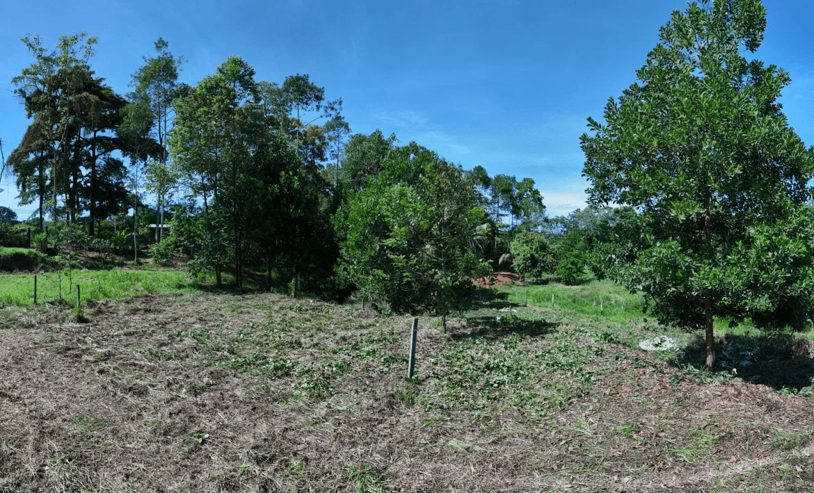 COMMERCIAL LAND IN UVITA – 0.2 ACRES, photo 6