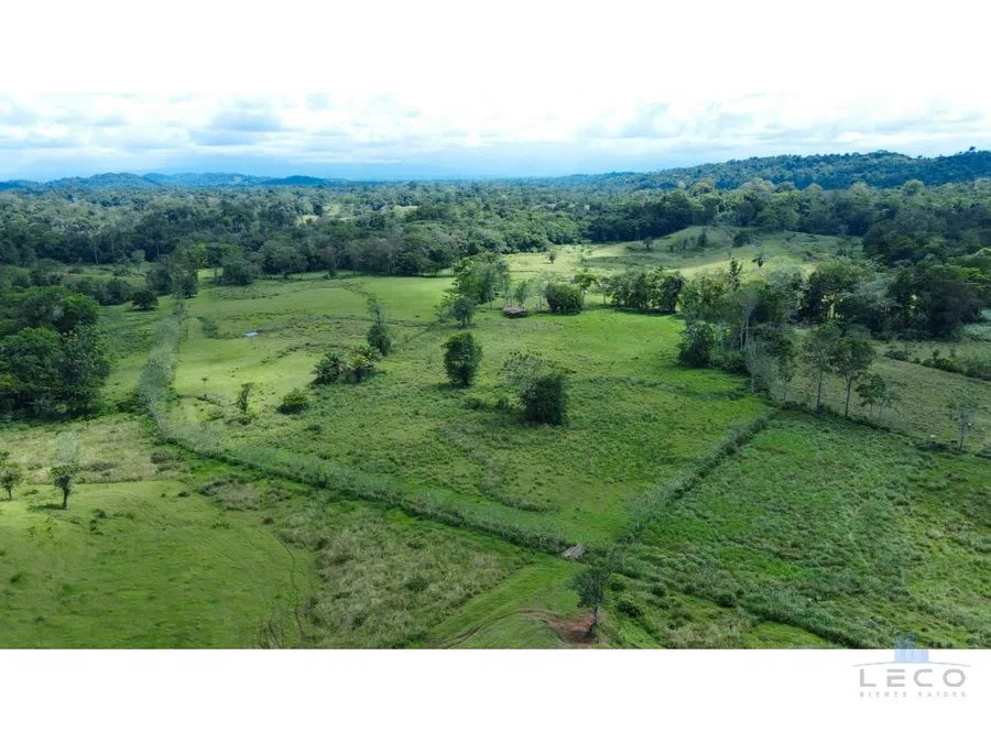 Venta De Finca 375.7 Hectáreas Sarapiquí Heredia