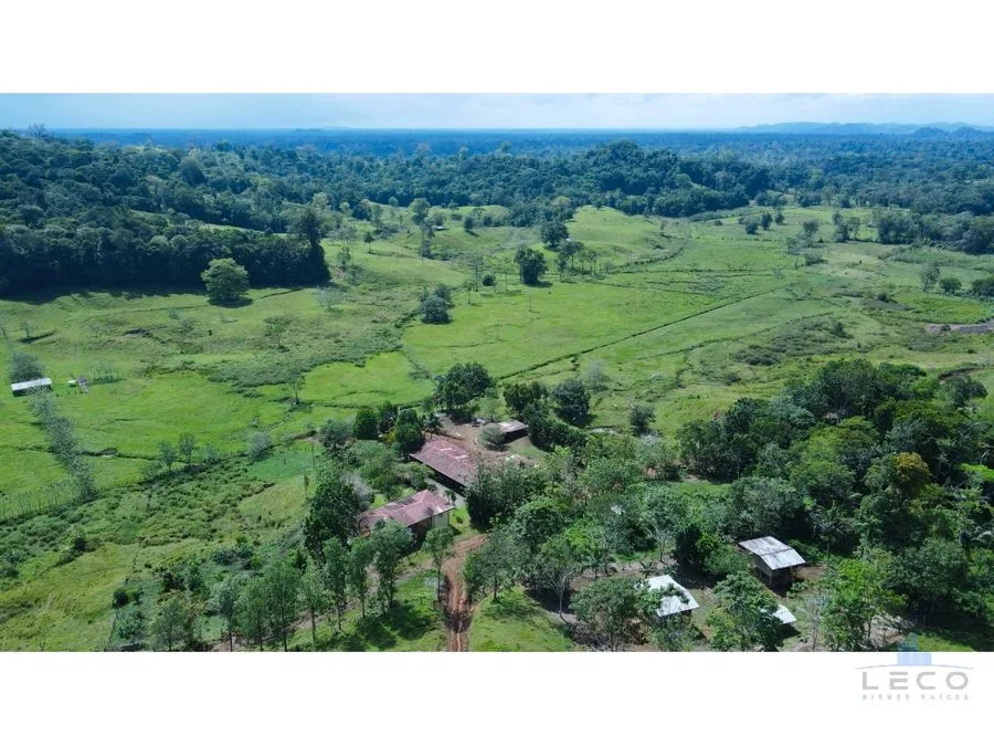 Venta De Finca 375.7 Hectáreas Sarapiquí Heredia, photo 2