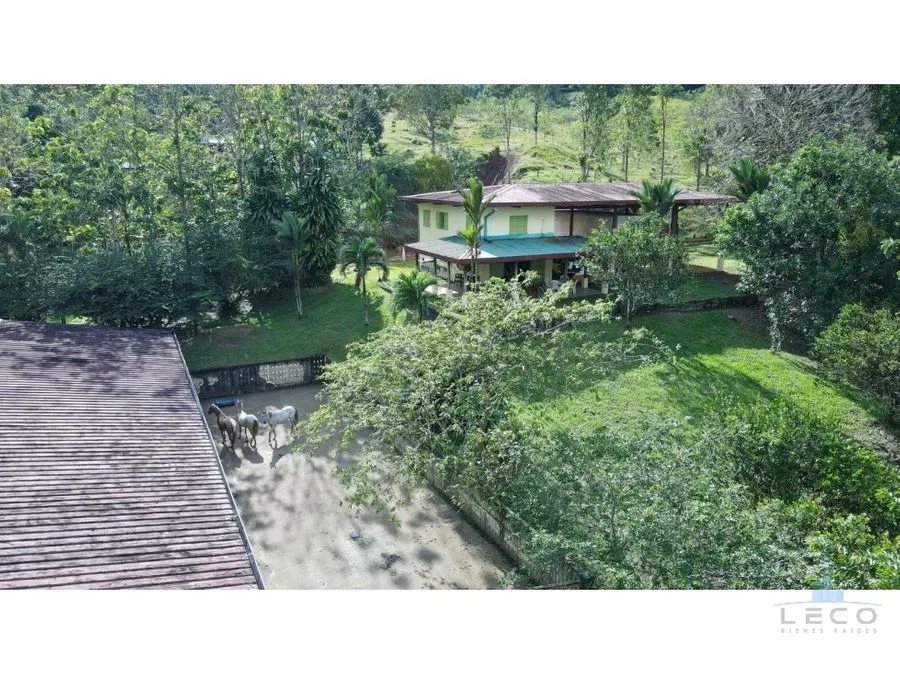 Venta De Finca 375.7 Hectáreas Sarapiquí Heredia, photo 3