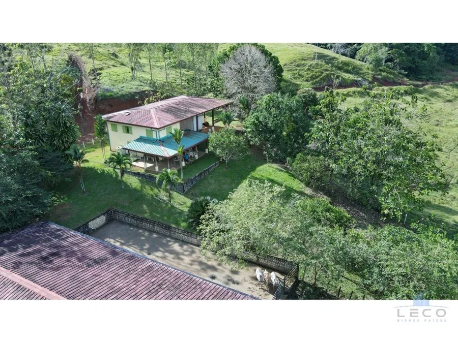 Venta De Finca 375.7 Hectáreas Sarapiquí Heredia, photo 4