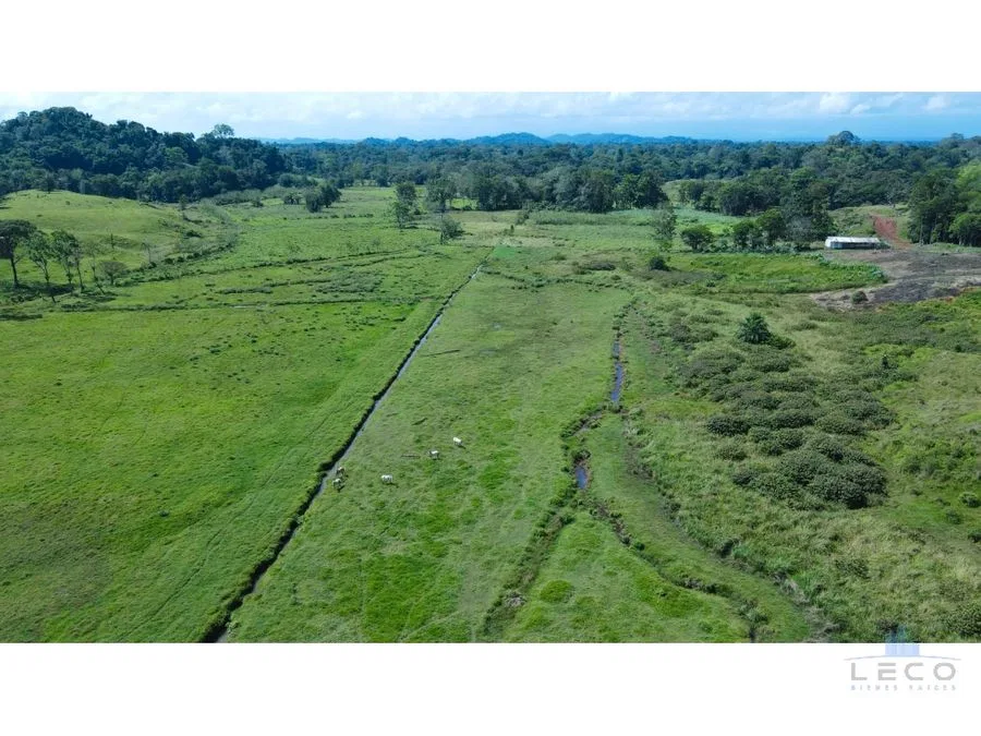Venta De Finca 375.7 Hectáreas Sarapiquí Heredia, photo 6