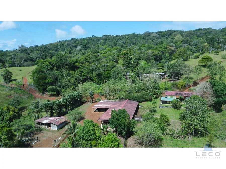 Venta De Finca 375.7 Hectáreas Sarapiquí Heredia, photo 7