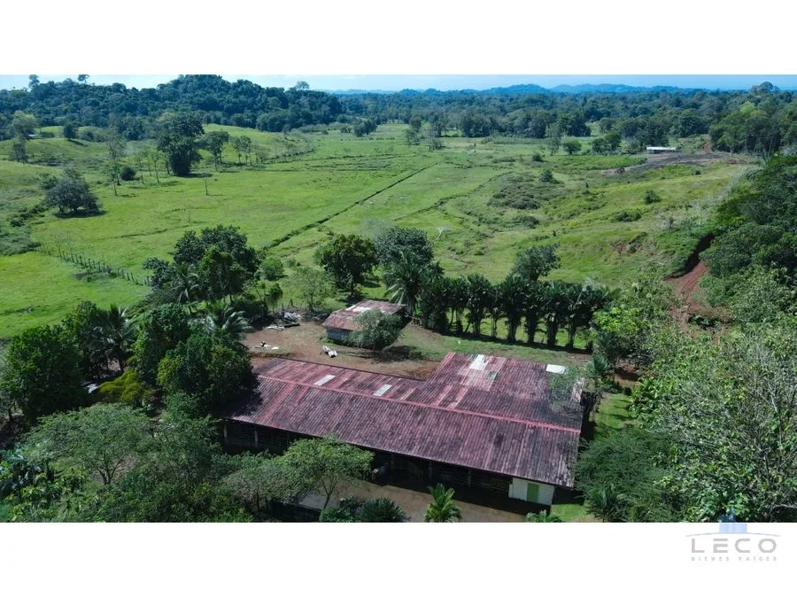 Venta De Finca 375.7 Hectáreas Sarapiquí Heredia, photo 8