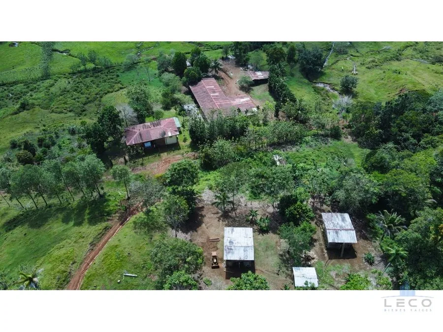 Venta De Finca 375.7 Hectáreas Sarapiquí Heredia, photo 9