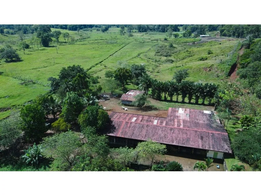 Venta De Finca 375.7 Hectáreas Sarapiquí Heredia, photo 10